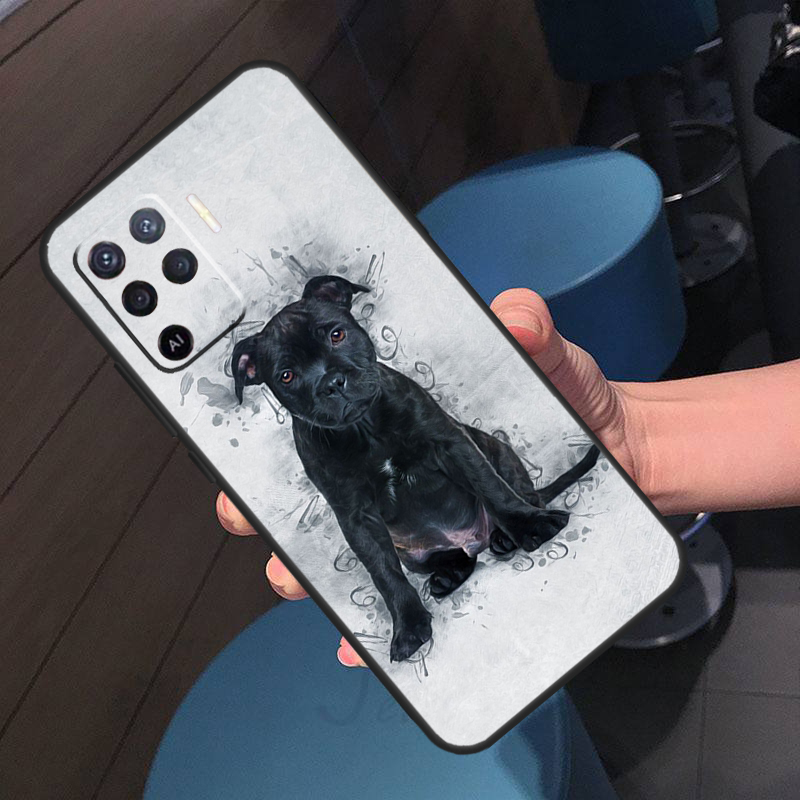 Staffordshire Bull Terrier Dog - Oppo A78 评论和价格